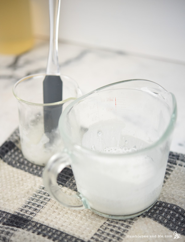 Morning Glory Foaming Facial Cleanser